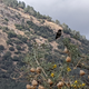 Illustration for article titled San Joaquin River Gorge